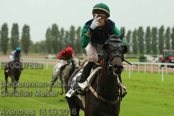 ET0Q0762a prot